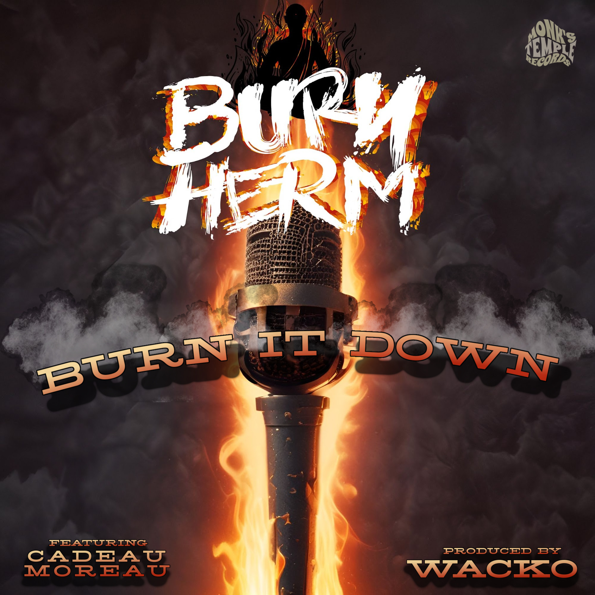"Burn It Down" cover art