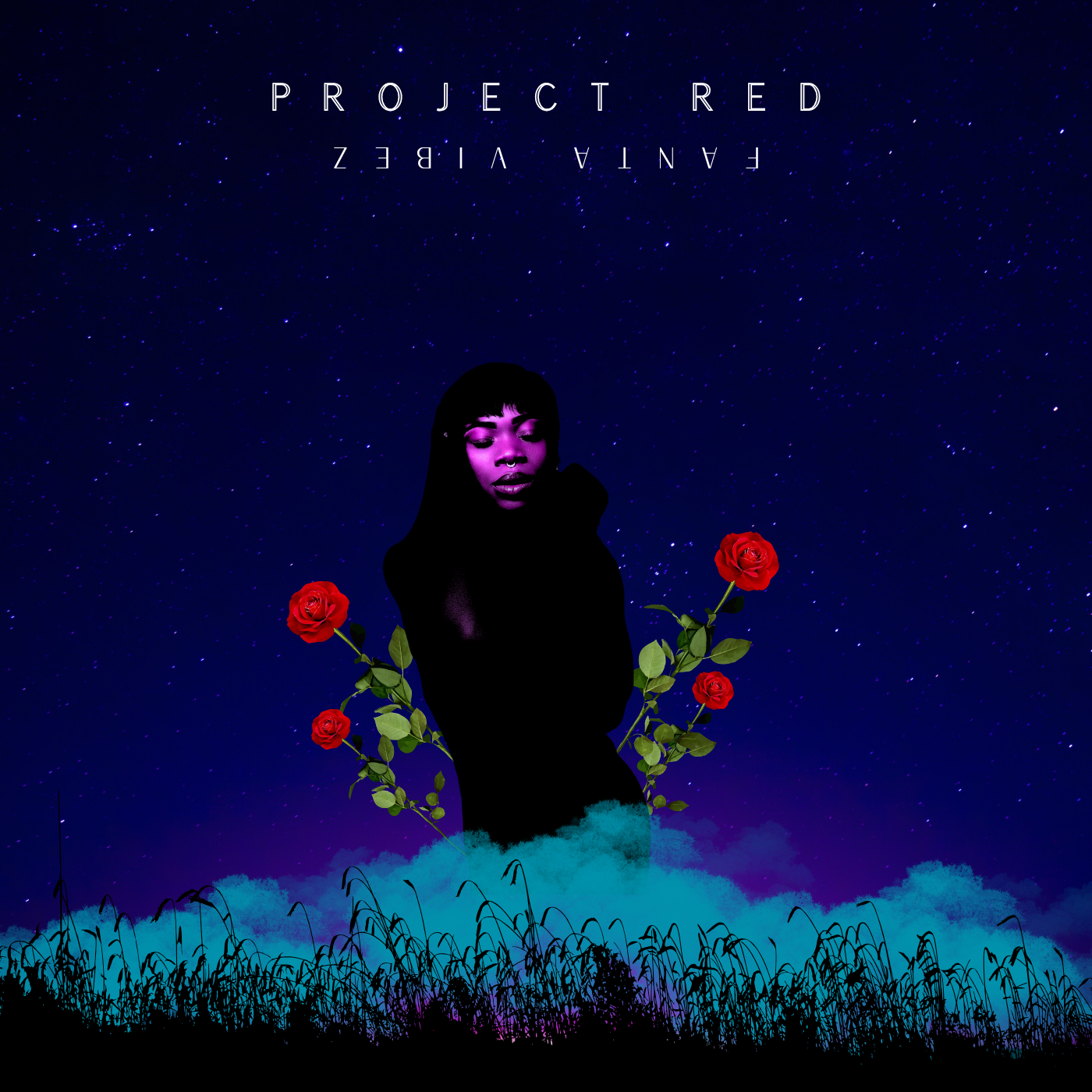<i>Project Red</i> cover art